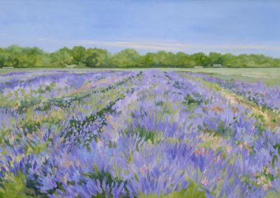 Lavender by the Bay 24 x 36 oil on canvas