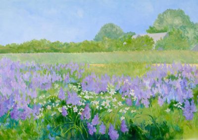 Lupine Field Sagg Easement 30 x 60 oil on canvas $5200