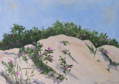 Small Dune with Saltspray Roses