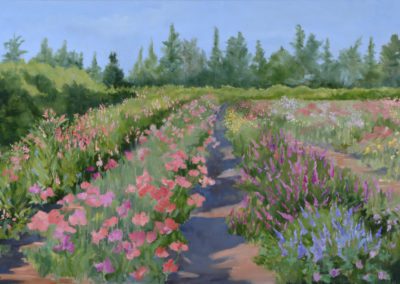 Sep's Flower Field, Oil on linen, "24 x 36"