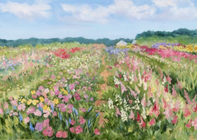 Balsam Farm Flower Rows, 24 x 36, oil on canvas