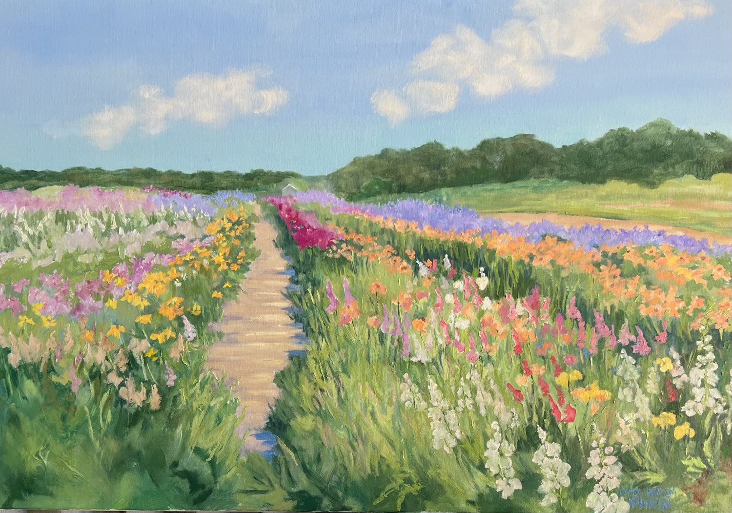Balsam Farms Flower Fields 3, 24in x 36in, oil canvas