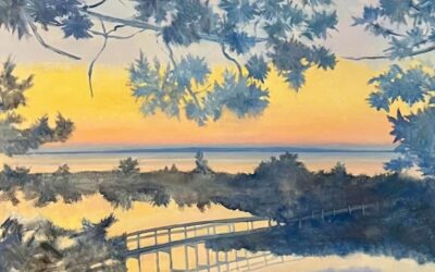 Footbridge Bridge Over Davis Creek