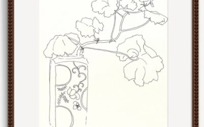 Ink and Line: Capturing Plants in Contour